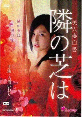 细细的红线标本卡封面与岛屿战场档案标签